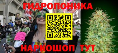не бодяженный Новозыбков